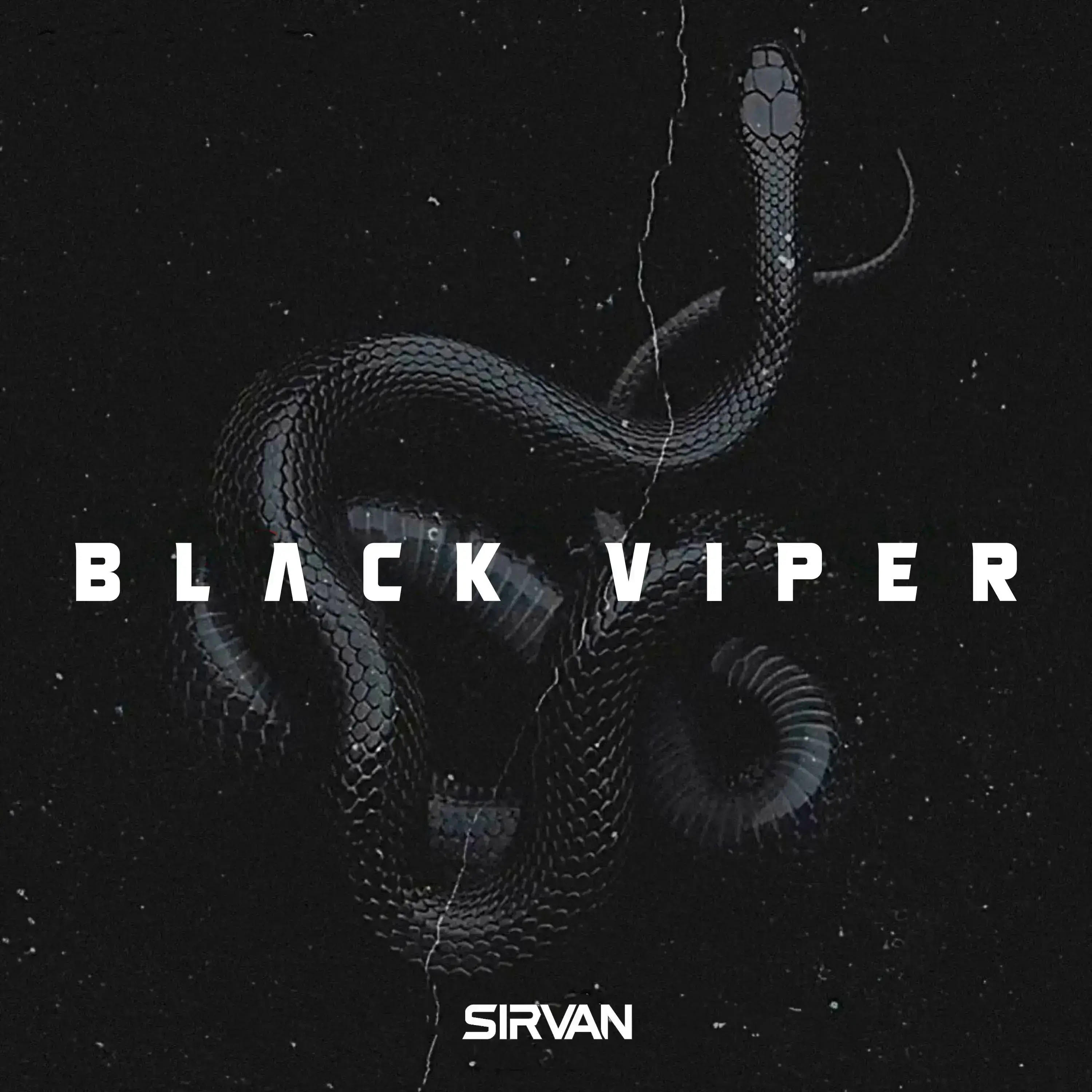 Black Viper